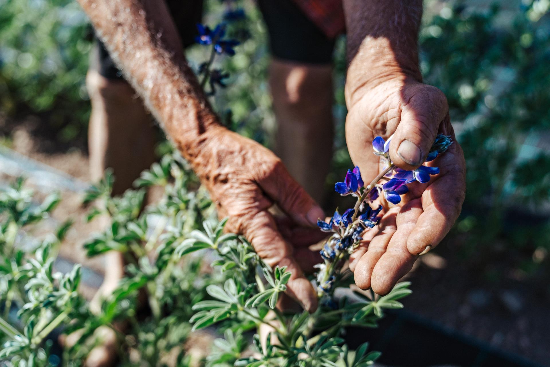 -tm-altrei-hr-04429-min